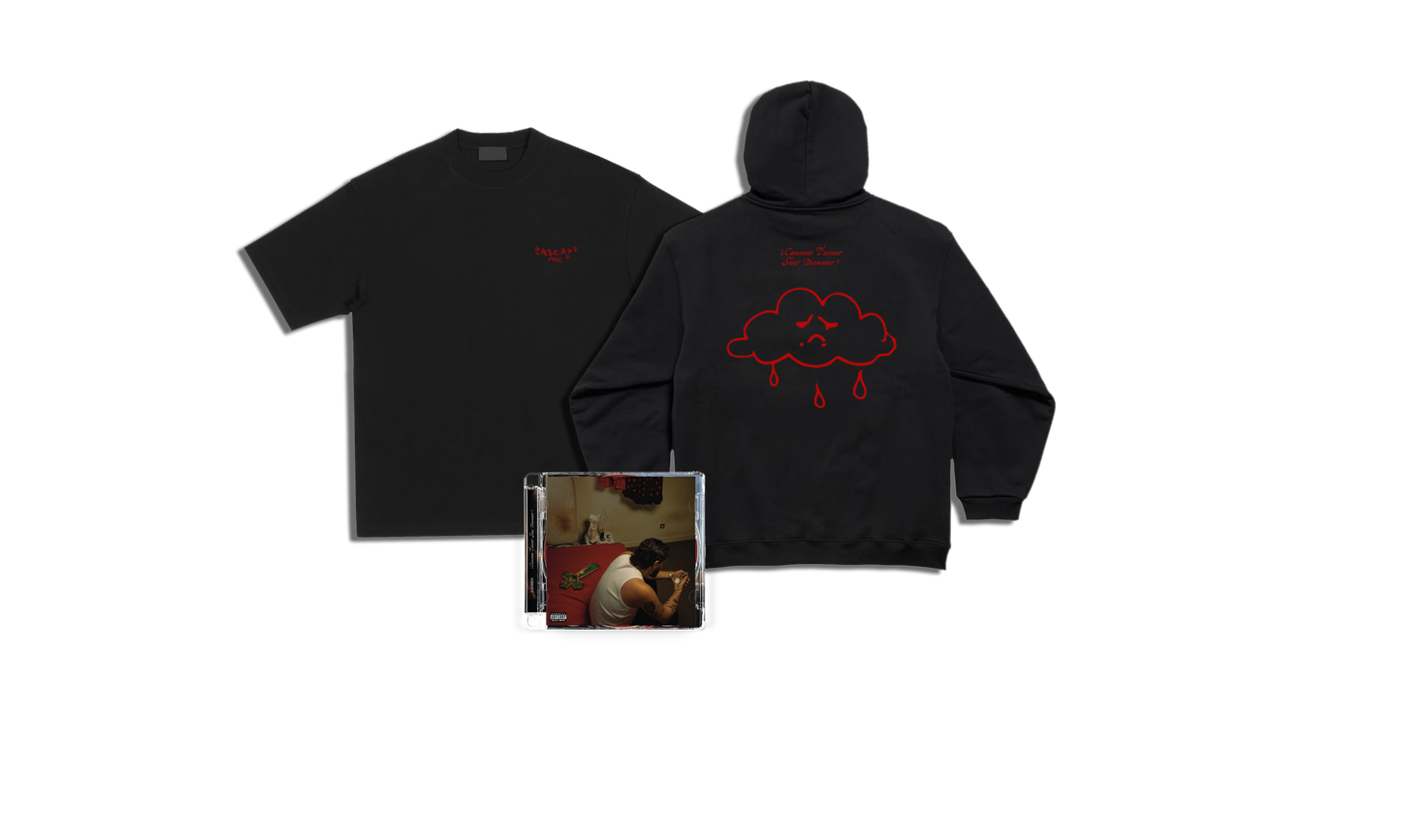 CD + T-SHIRT + HOODIE "Comment t’aimer sans diamants ?"